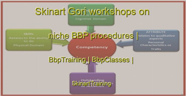 Skinart Gori workshops on niche BBP procedures | BbpTraining | BbpClasses | SkinartTraining-Pakistan